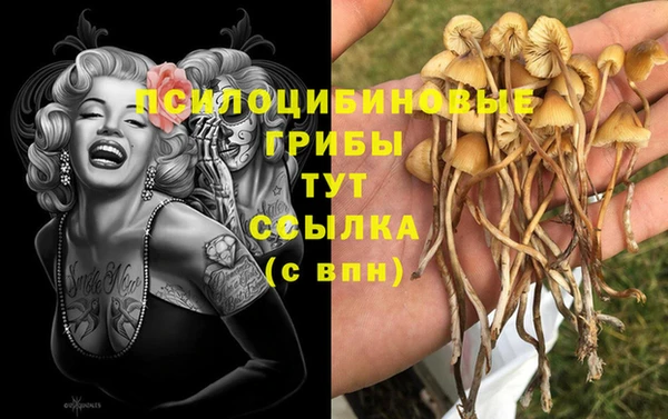 амфетамин Алексеевка