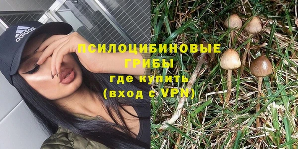 МДПВ Алзамай
